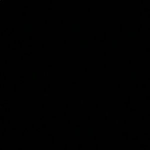 Meet your Posher, Vincent